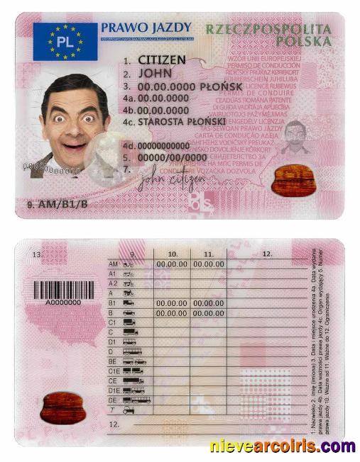 Poland driving license, ,2019 present